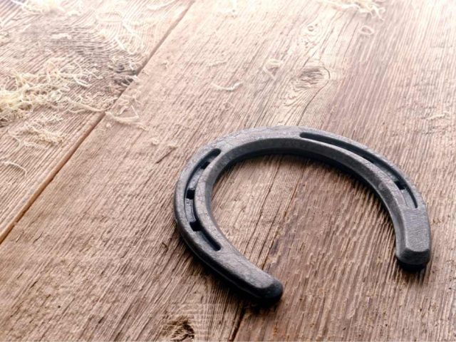До чого сниться підкова? Тлумачення сну
