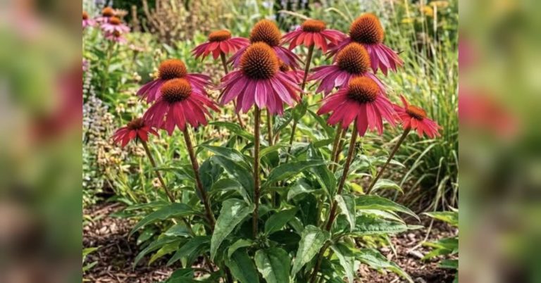 Гороскоп на 10 липня: Скорпіонам варто подбати про стосунки, а Овнам — зберігати спокій та берегти нерви від стресу.
